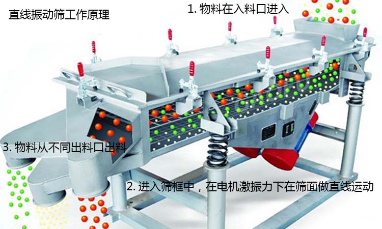 振动筛筛分原理工作图